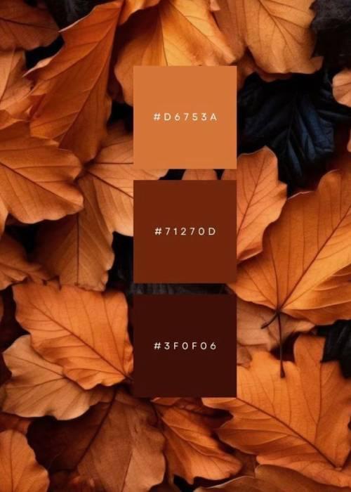 A colour palette of terracotta, rust and burnt orange shades.